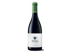 Chardonnay - Bodega Otazu - 2009 - White