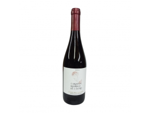 Cardenal Rodrigo de Castro Parcela - Bodega Soutelo - 2024 - Red