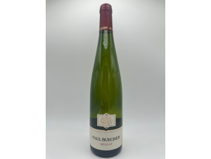 Muscat - Domaine Paul Buecher - 2022 - White