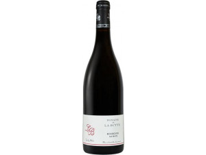 Bourgueil Mi-Pente - Domaine de la Butte - 2019 - Red