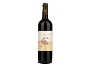 Serra Ferdinandea - Serra Ferdinandea - 2020 - Red