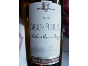 Melon à Queue Rouge - Domaine de la Pinte - 2022 - White