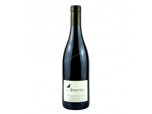 Les Sorcières - Hervé Bizeul - Le Clos des Fées - 2021 - Red