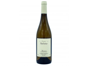 Saumur - DOMAINE GUIBERTEAU - 2024 - White