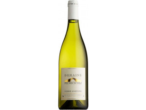 Fiumicicoli blanc - Domaine Fiumicicoli - 2024 - White