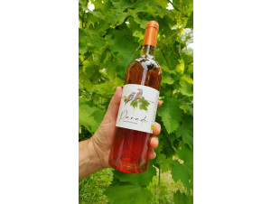 Parade - Mas Gourgonnier - 2024 - Rose