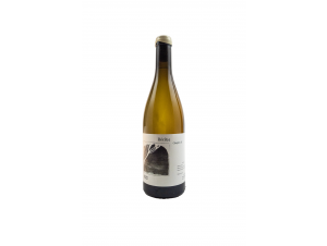 Recit[s] chap.II - Sebastien M. Vins - 2023 - White