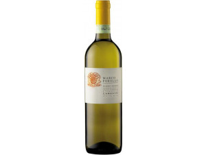 Roero Arneis - Camestri - Cantina Marco Porello - No vintage - White