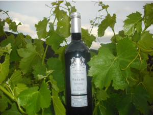 Clos Boutarelle - Domaine des Madalle - 2021 - Red