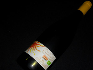 Sierra Du Sud - Domaine Gramenon - 2023 - Red