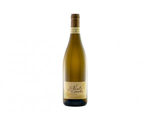 Le Vent Dans Les Saules - Le Pas Saint Martin - 2023 - White