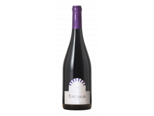 Epicuria Syrah - Zouina - 2015 - Red