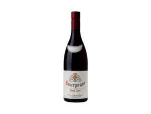 Bourgogne Pinot Noir - Domaine Thierry et Pascale Matrot - 2021 - Red