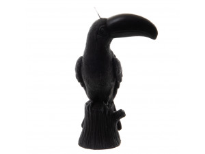 Bougie Toucan Noir - Amadeus -  - 