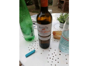 Château Pique-Sègue - Château Pique-Sègue - 2018 - White