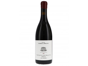 Savigny-les-Beaune 1er Cru Les Lavières - Domaine Chandon de Briailles - 2021 - Red