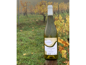 Richarde blanc - DOMAINE UCHET - No vintage - White