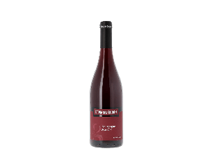 Pinot Noir - Domaine Gonon - 2022 - Red