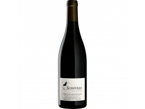 Les Sorcières - Hervé Bizeul - Le Clos des Fées - 2023 - Red