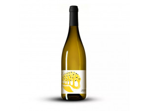 La BRISE - Domaine de Lastronques - 2023 - White