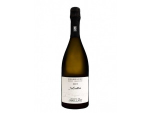 Jolivettes Grand Cru - Champagne Nicolas Maillart - 2018 - Sparkling
