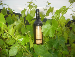 Ecrin de Schiste - Domaine des Madalle - 2021 - Red