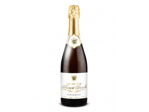 Champagne Blanc De Blancs - FRANCOIS DECOCHE - No vintage - Sparkling