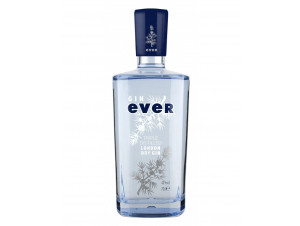 Gin Ever London Dry - Licores Sync - No vintage - 