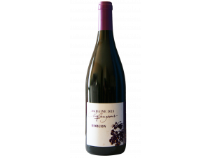 Morgon - Domaine des Chaffangeons - 2023 - Red
