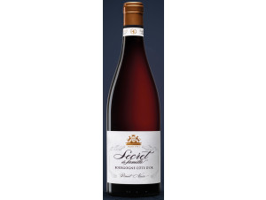 Bourgogne Pinot Noir Secrets de Famille - Albert Bichot - 2020 - Red