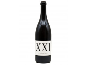 Xxi - Domaine Louis-Benjamin Dagueneau - 2021 - White