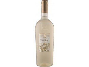 Linea Ulisse Selezione Pinot Grigio - Tenuta Ulisse - No vintage - White
